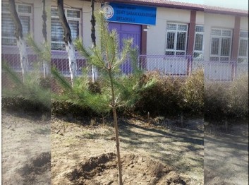 Yozgat-Yerköy-Şehit Şaban Karadoğan Ortaokulu fotoğrafı