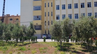Mardin-Derik-Derik İmam Hatip Ortaokulu fotoğrafı