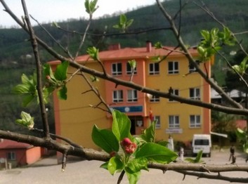 Giresun-Bulancak-Büyükada Ortaokulu fotoğrafı