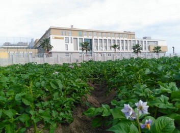 Adana-Seyhan-Şehitlik Anadolu İmam Hatip Lisesi fotoğrafı