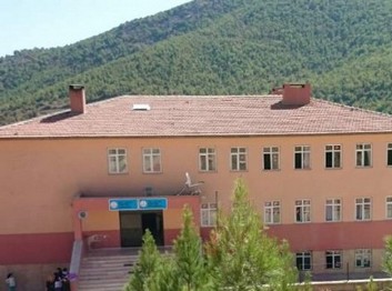 Siirt-Baykan-Çamtaşı Ortaokulu fotoğrafı