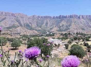Hakkari-Derecik-Umurlu Mahallesi İlkokulu fotoğrafı