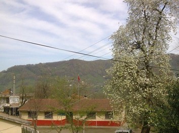 Samsun-Salıpazarı-Cevizli İlkokulu fotoğrafı