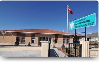Amasya-Merzifon-Haşim Dülger Özel Eğitim Uygulama Okulu I. Kademe fotoğrafı