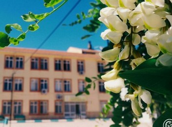 Şanlıurfa-Bozova-75. Yıl Mesleki ve Teknik Anadolu Lisesi fotoğrafı