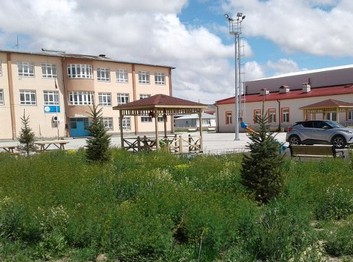 Sivas-Kangal-Havuz Ortaokulu fotoğrafı