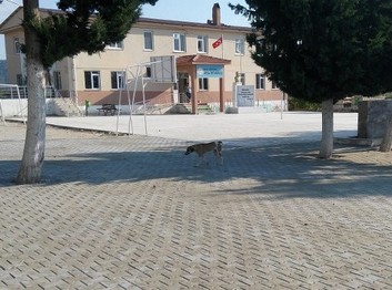 Muğla-Seydikemer-Arsa Ortaokulu fotoğrafı