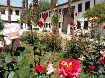 Şanlıurfa-Akçakale-Altınbaşak Mesleki ve Teknik Anadolu Lisesi fotoğrafı