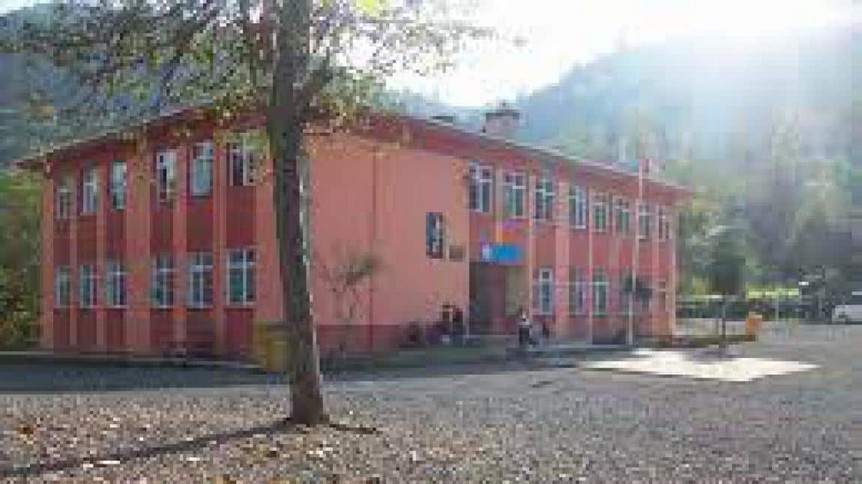 Ordu-Altınordu-Gökömer İlkokulu fotoğrafı