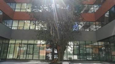 İstanbul-Kadıköy-Nurettin Teksan Ortaokulu fotoğrafı