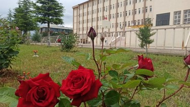 Kahramanmaraş-Onikişubat-Erdem Bayazıt Anadolu Lisesi fotoğrafı