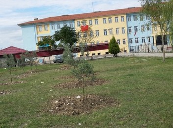 Osmaniye-Kadirli-Mehmet Nuri Arıoğlu Ortaokulu fotoğrafı