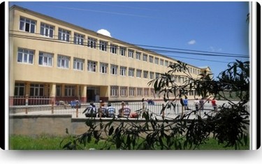 Muş-Varto-Çaylar Yatılı Bölge Ortaokulu fotoğrafı