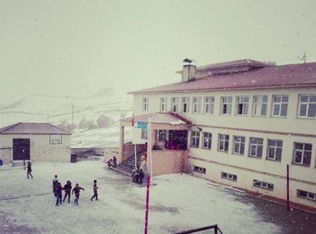 Van-Çaldıran-Direkli Ortaokulu fotoğrafı