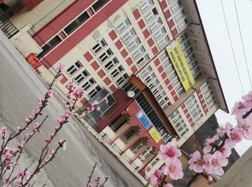 Gümüşhane-Torul-Şehit Öğretmen Necmettin Yılmaz Anadolu İmam Hatip Lisesi fotoğrafı
