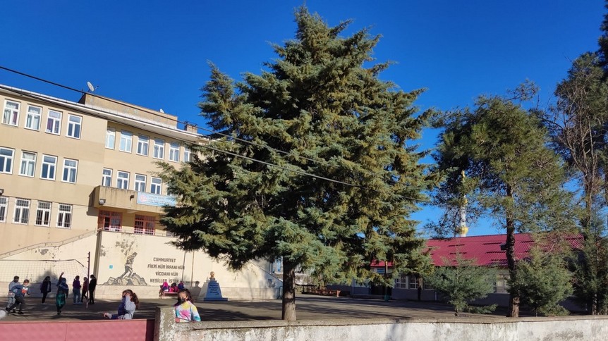 Samsun-Terme-Gölyazı Köyü Ortaokulu fotoğrafı