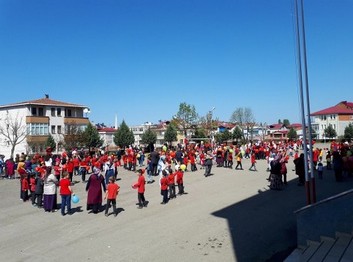 Trabzon-Vakfıkebir-Büyükliman İlkokulu fotoğrafı