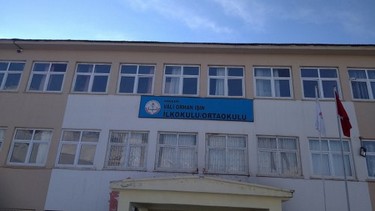 Hakkari-Merkez-VALİ ORHAN IŞIN ORTAOKULU fotoğrafı
