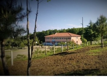 Samsun-Bafra-Müstecep Ortaokulu fotoğrafı