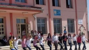 Diyarbakır-Çınar-Has Köy İlkokulu fotoğrafı