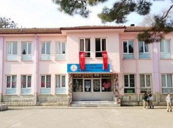 Sakarya-Geyve-Mehmet Ayşe Akgül Ortaokulu fotoğrafı