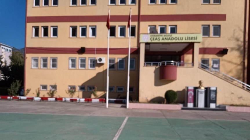 Osmaniye-Düziçi-Düziçi ÇEAŞ Anadolu Lisesi fotoğrafı
