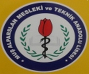 Muş-Merkez-Alparslan Mesleki ve Teknik Anadolu Lisesi fotoğrafı
