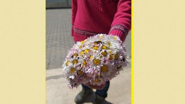 Şırnak-Merkez-Yoğurtçular İlkokulu fotoğrafı