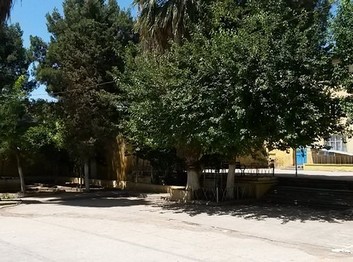 Şanlıurfa-Eyyübiye-Mithatpaşa Ortaokulu fotoğrafı
