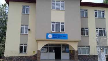 Mersin-Çamlıyayla-Sebil Zeytin Dalı İlkokulu fotoğrafı