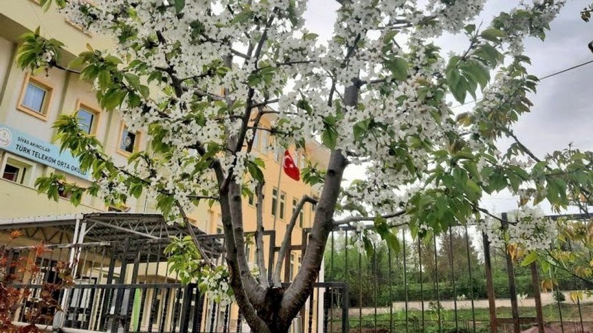 Sivas-Akıncılar-Türk Telekom Ortaokulu fotoğrafı