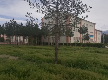 Erzincan-Merkez-Yunus Emre Ortaokulu fotoğrafı