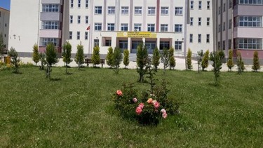 Diyarbakır-Ergani-Molla Gürani Anadolu İmam Hatip Lisesi fotoğrafı