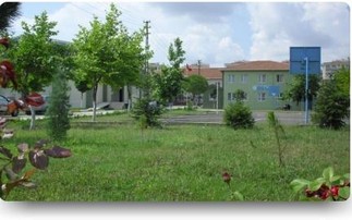 Tekirdağ-Çorlu-T.S.D. Çorlu Özel Eğitim İlkokulu fotoğrafı