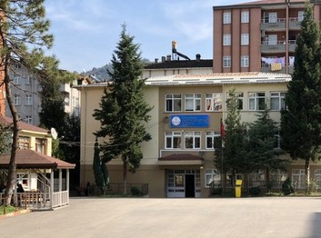 Ordu-Çatalpınar-Şehit Salim Güneş İlkokulu fotoğrafı