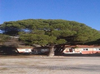 Aydın-Nazilli-Aşağı Örencik İlkokulu fotoğrafı
