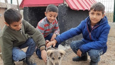 Şanlıurfa-Harran-Tantana İlkokulu fotoğrafı