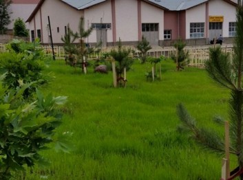 Bingöl-Merkez-Bingöl Mesleki ve Teknik Anadolu Lisesi fotoğrafı