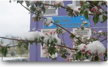 Konya-Seydişehir-Seyit Harun İmam Hatip Ortaokulu fotoğrafı