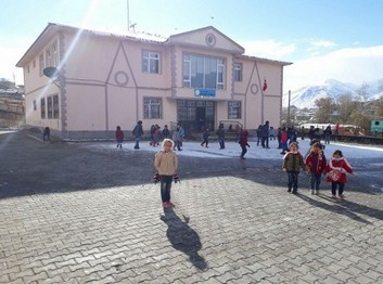 Muş-Bulanık-Göztepe İlkokulu fotoğrafı