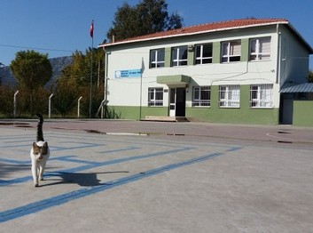 İzmir-Selçuk-Belevi Şehit Yüzbaşı Cengiz Topel İlkokulu fotoğrafı